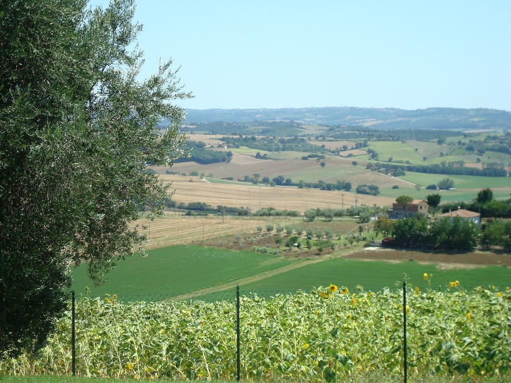 Podere Fontegallo Castiglione del Lago Exteriör bild