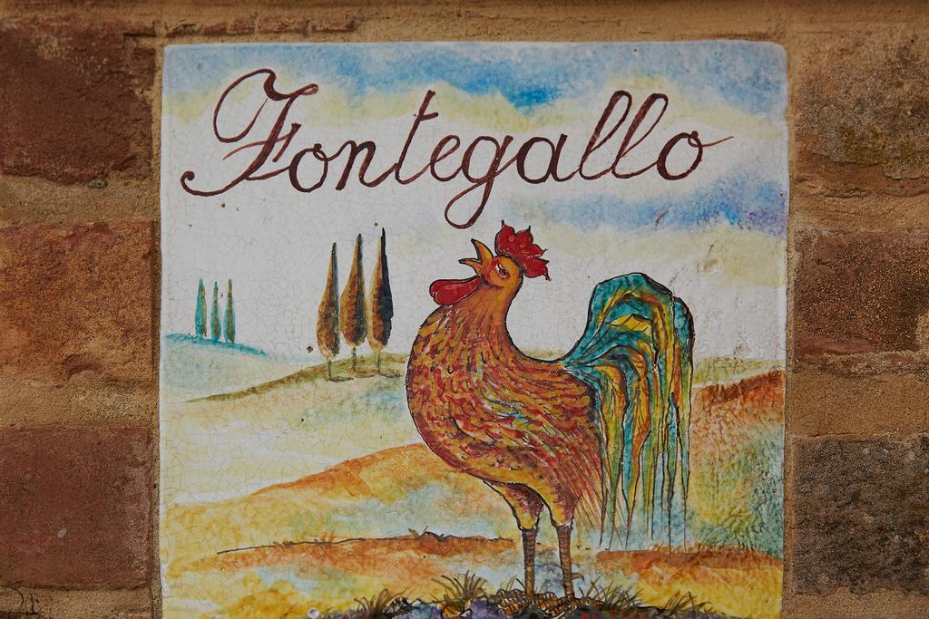 Podere Fontegallo Castiglione del Lago Exteriör bild