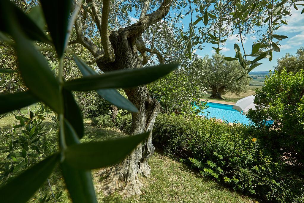 Podere Fontegallo Castiglione del Lago Exteriör bild