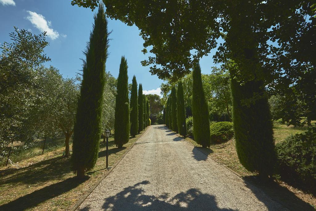 Podere Fontegallo Castiglione del Lago Exteriör bild